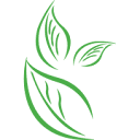 Premier Care LLC